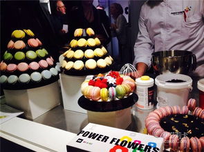 SIRHA 2015 全球餐饮酒店业的前沿盛宴，引领蛋糕艺术与餐饮管理新浪潮